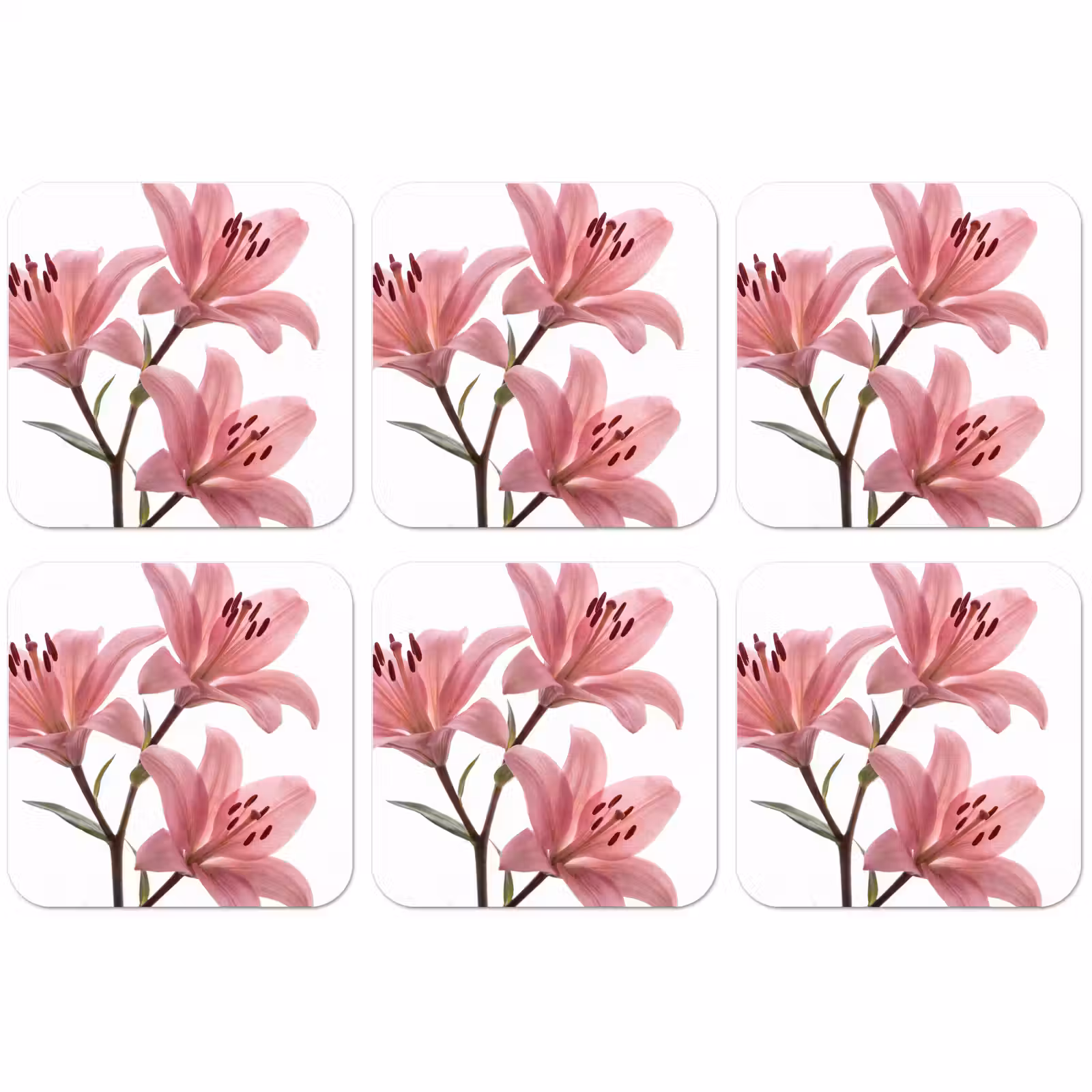 Untersetzer - Blumen – Sanft – Modern — 1