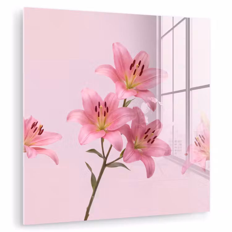 Glasbild - Blumen – Zart – Rosa — 1