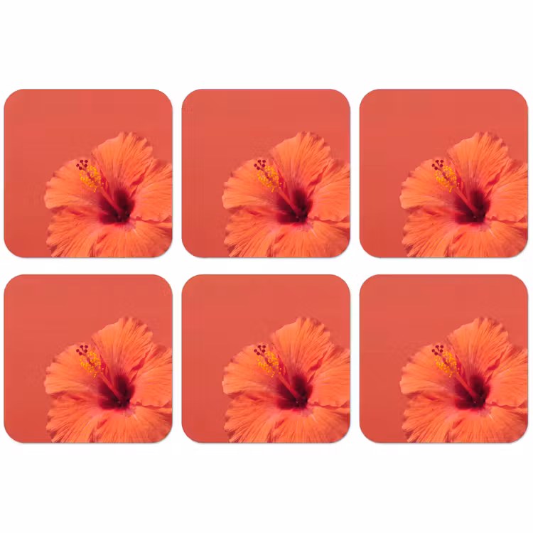 Untersetzer - Blumen – Orange – Natur — 1