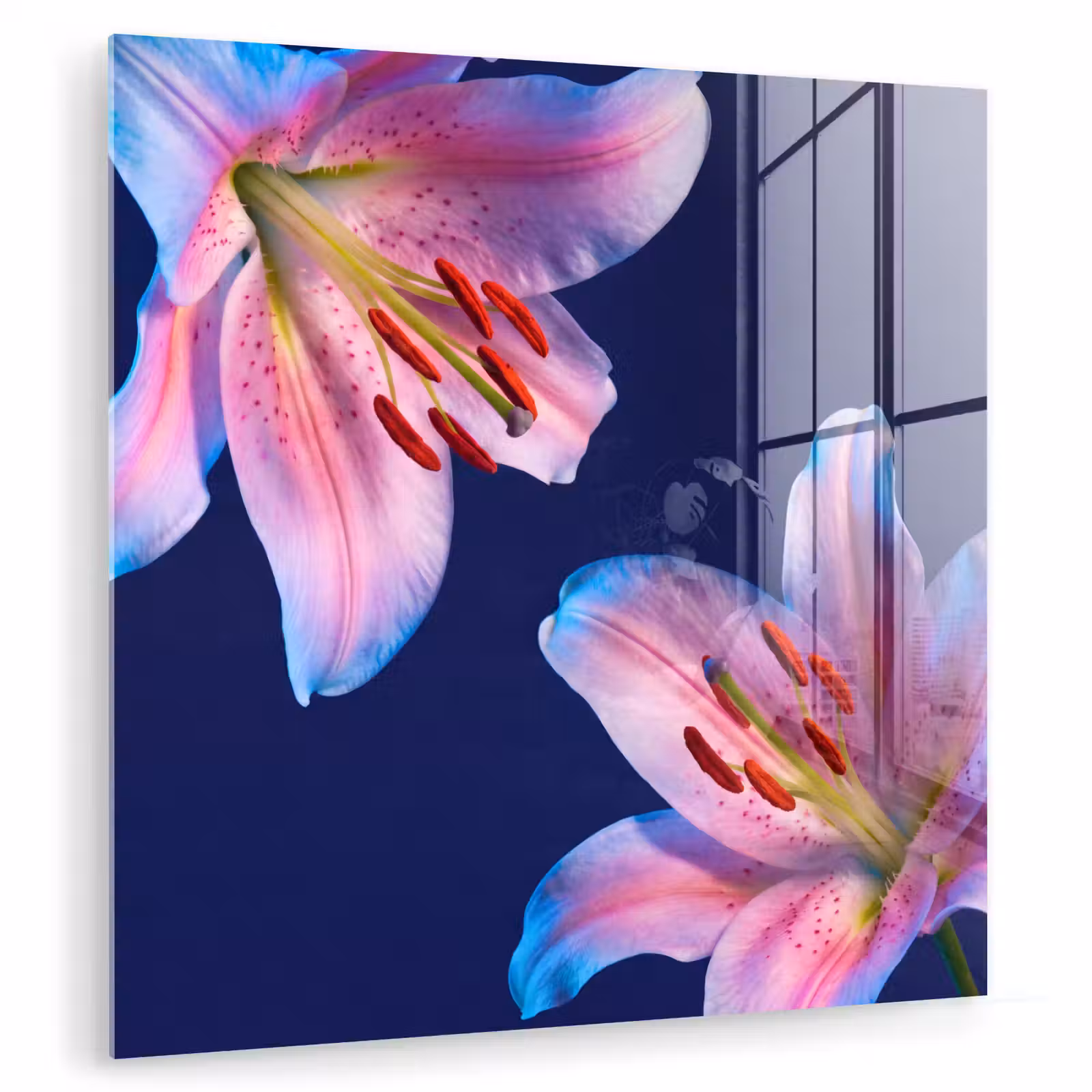 Glasbild - Blumen – Farbenfroh – Botanisch — 1