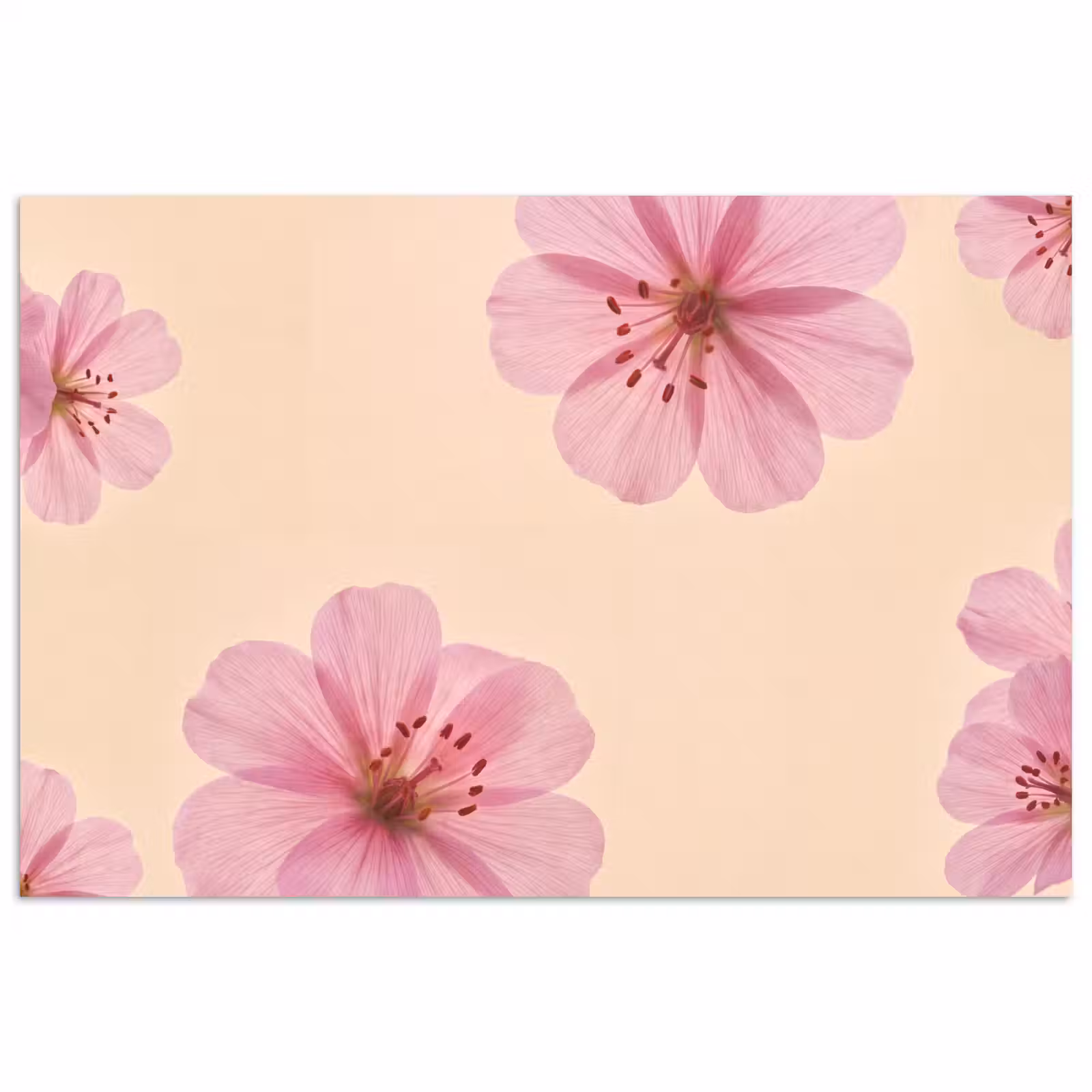 Poster - Blumen – Flora – Pastell — 1