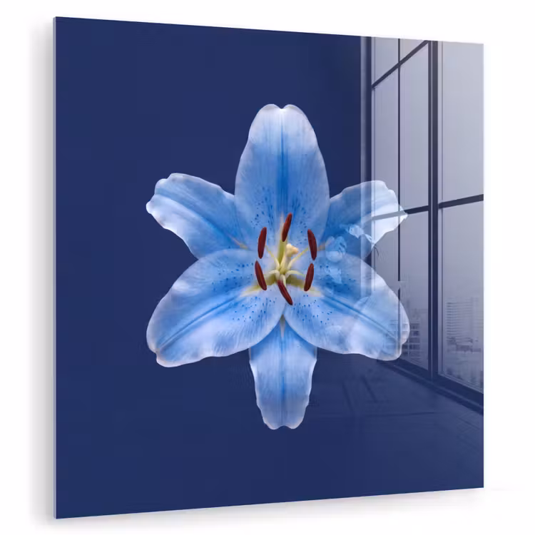 Glasbild - Blaue Lilie – Blumen — 1