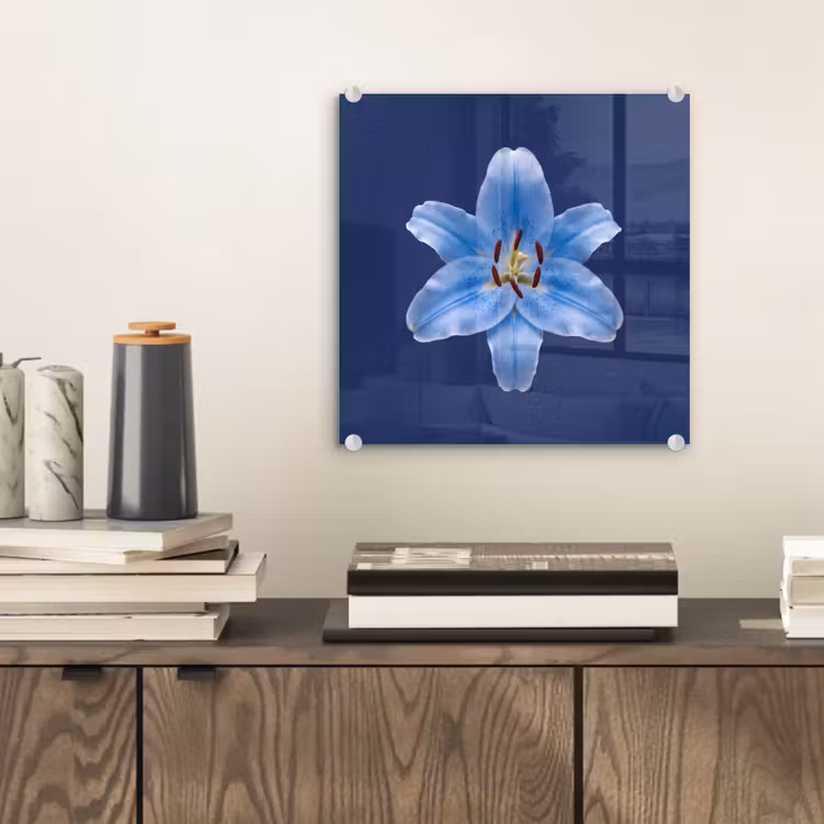 Glasbild - Blaue Lilie – Blumen — 2