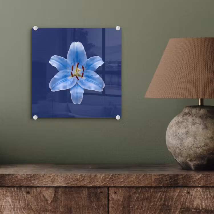 Glasbild - Blaue Lilie – Blumen — 4