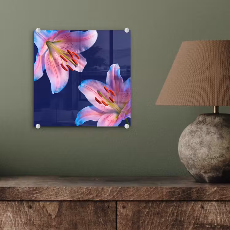 Glasbild - Blumen – Farbenfroh – Botanisch — 4