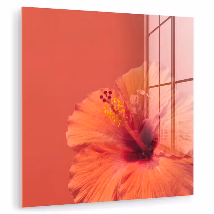 Glasbild - Blumen – Orange – Natur — 1