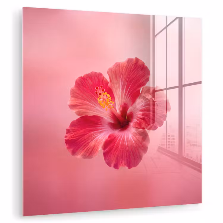 Glasbild - Rote Blume – Natur — 1