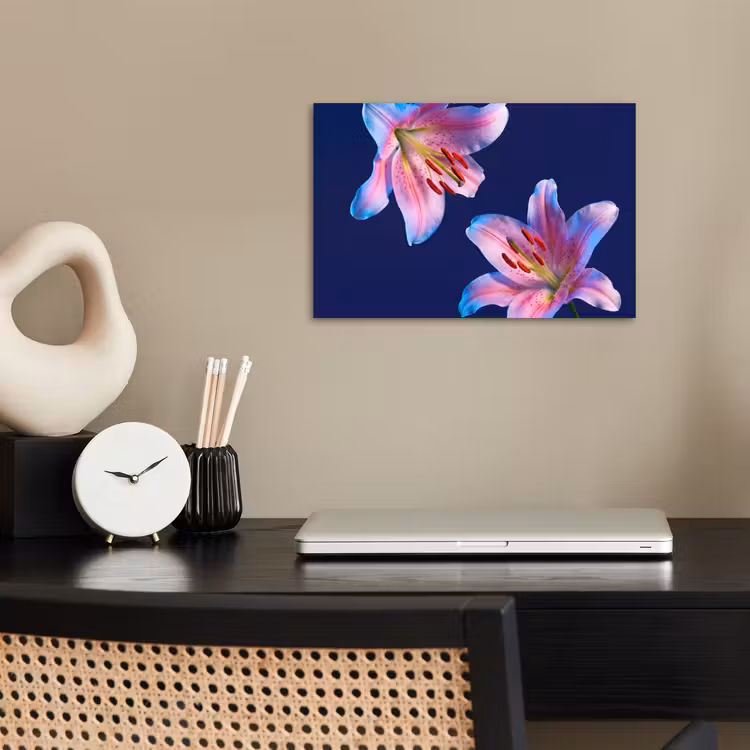Poster - Blumen – Bunt – Botanisch — 2