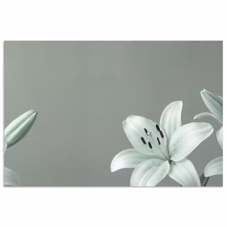 Poster - Blumen – Natur – Grün — 1