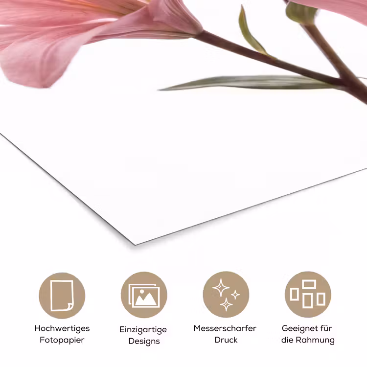 Poster - Blumen – Sanft – Modern — 5