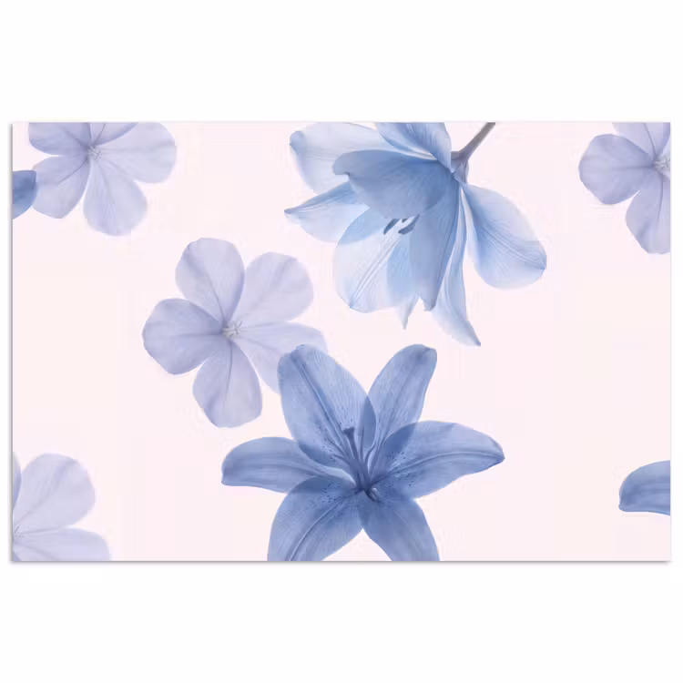 Poster - Blumen – Transparent – Modern — 1