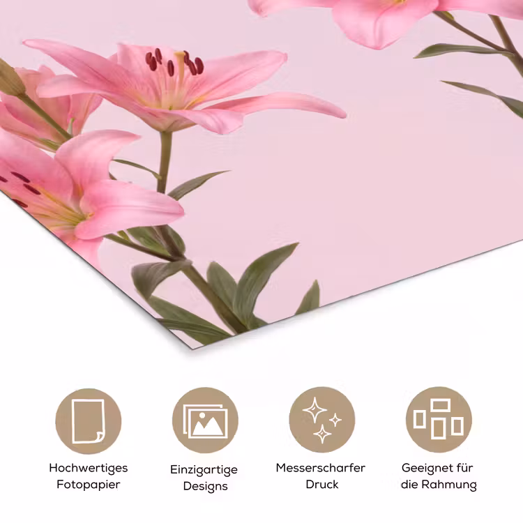 Poster - Blumen – Zart – Rosa — 5