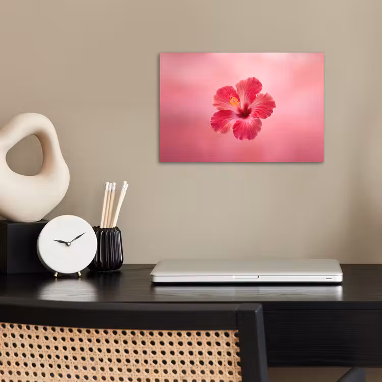 Poster - Rote Blume – Natur — 2