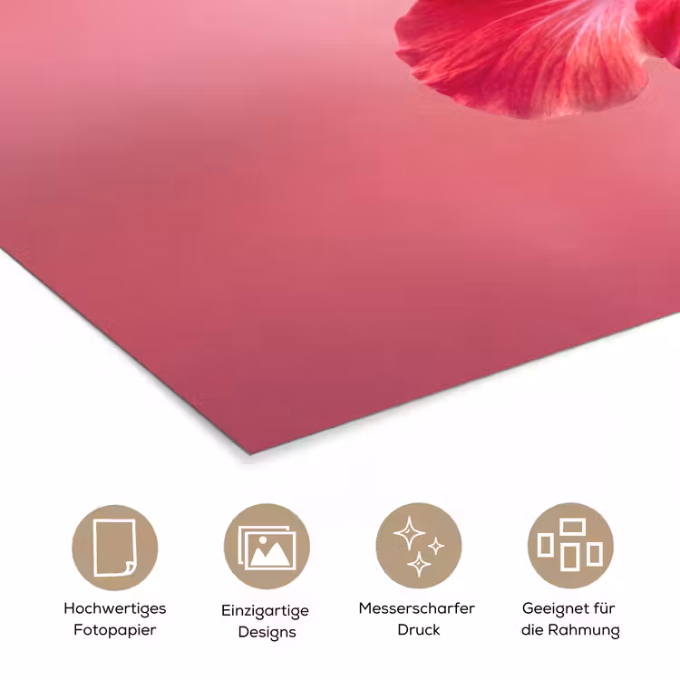 Poster - Rote Blume – Natur — 5