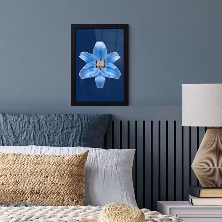 Bilder mit Rahmen - Blaue Lilie – Blumen — 3