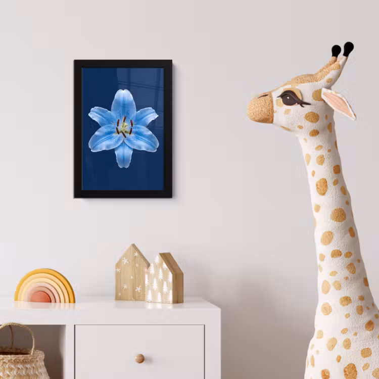 Bilder mit Rahmen - Blaue Lilie – Blumen — 5