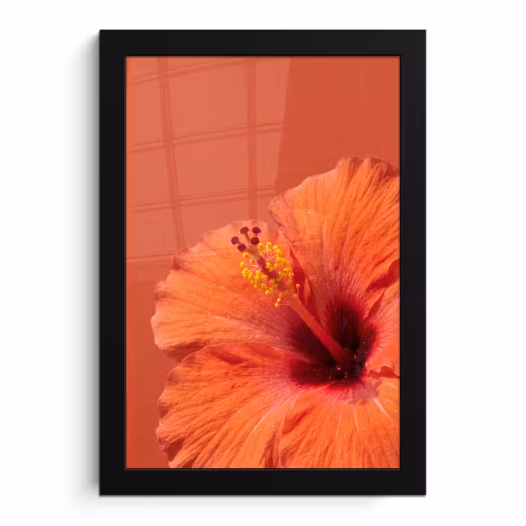 Bilder mit Rahmen - Blumen – Orange – Natur — 1