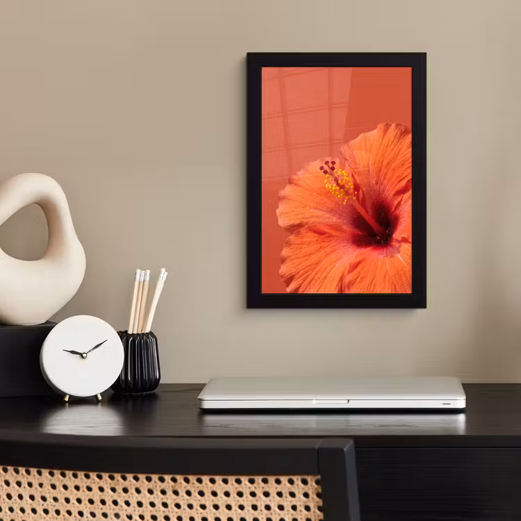 Bilder mit Rahmen - Blumen – Orange – Natur — 2