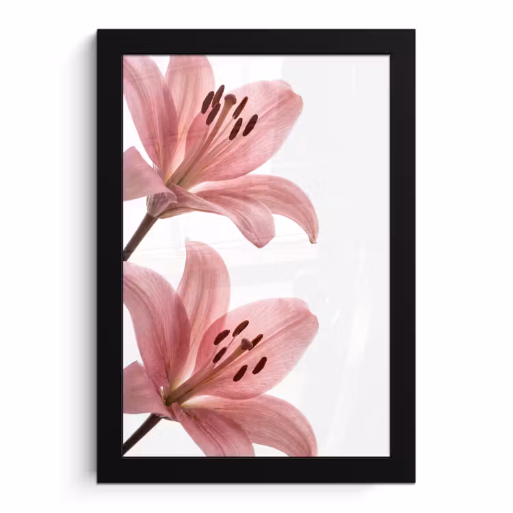 Bilder mit Rahmen - Blumen – Sanft – Modern — 1