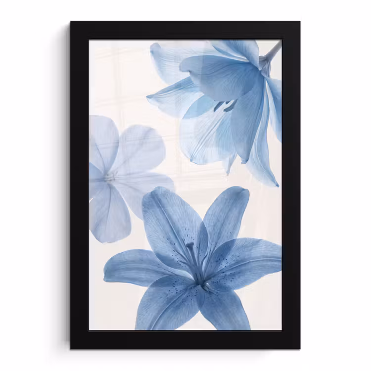 Bilder mit Rahmen - Blumen – Transparent – Modern — 1