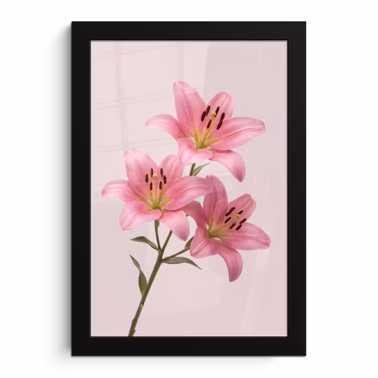 Bilder mit Rahmen - Blumen – Zart – Rosa — 1