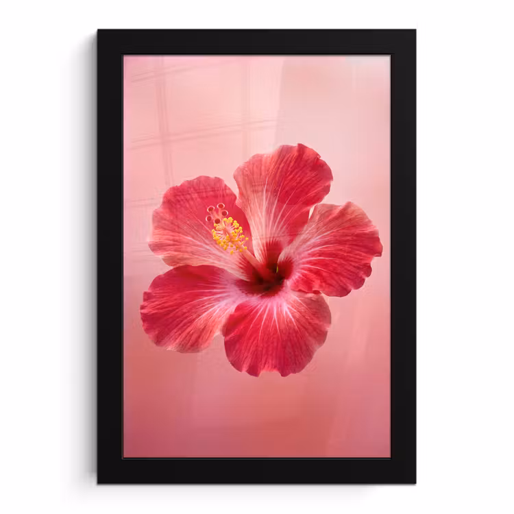 Bilder mit Rahmen - Rote Blume – Natur — 1