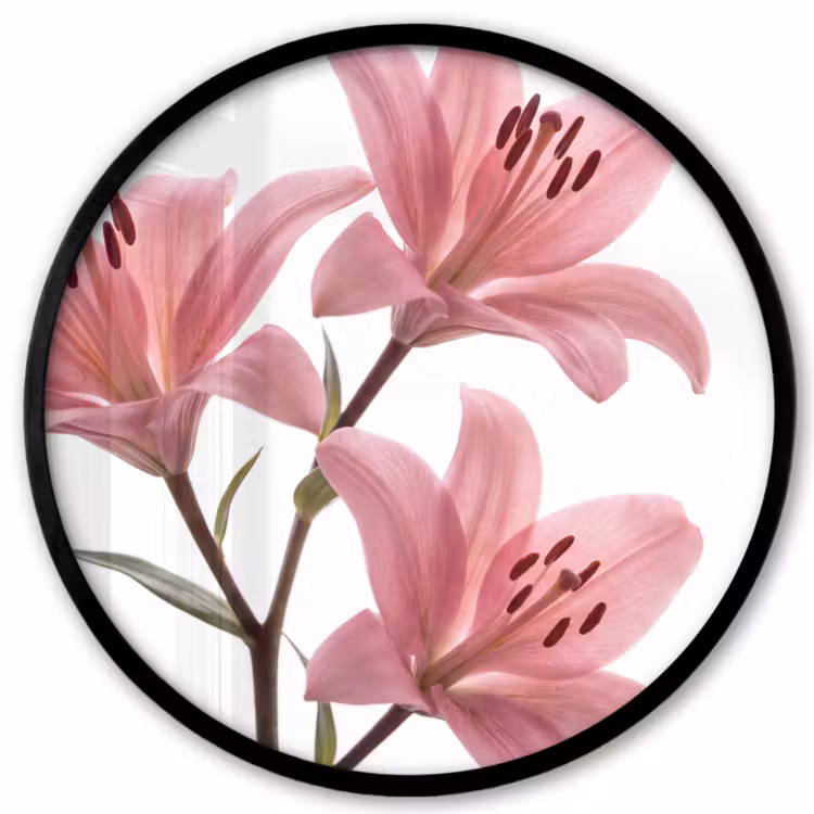 Poster im Rahmen Rund - Blumen – Sanft – Modern — 1