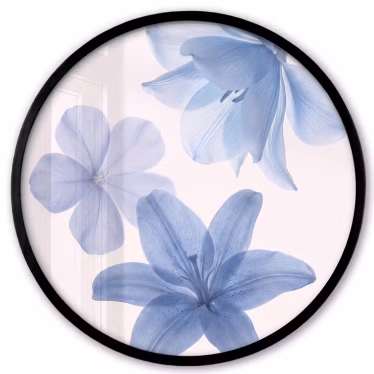 Poster im Rahmen Rund - Blumen – Transparent – Modern — 1