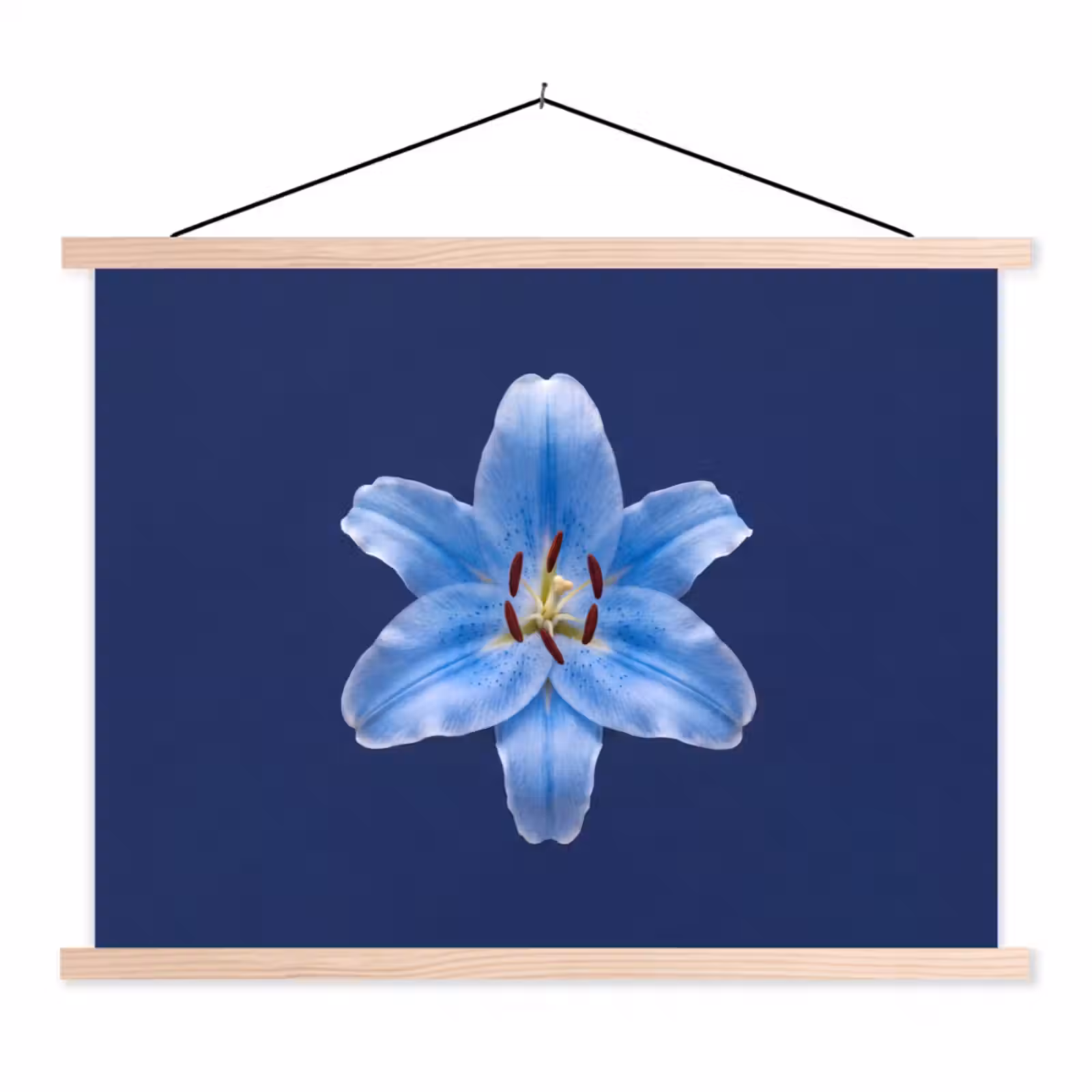 Stoffbild - Blaue Lilie – Blumen — 1