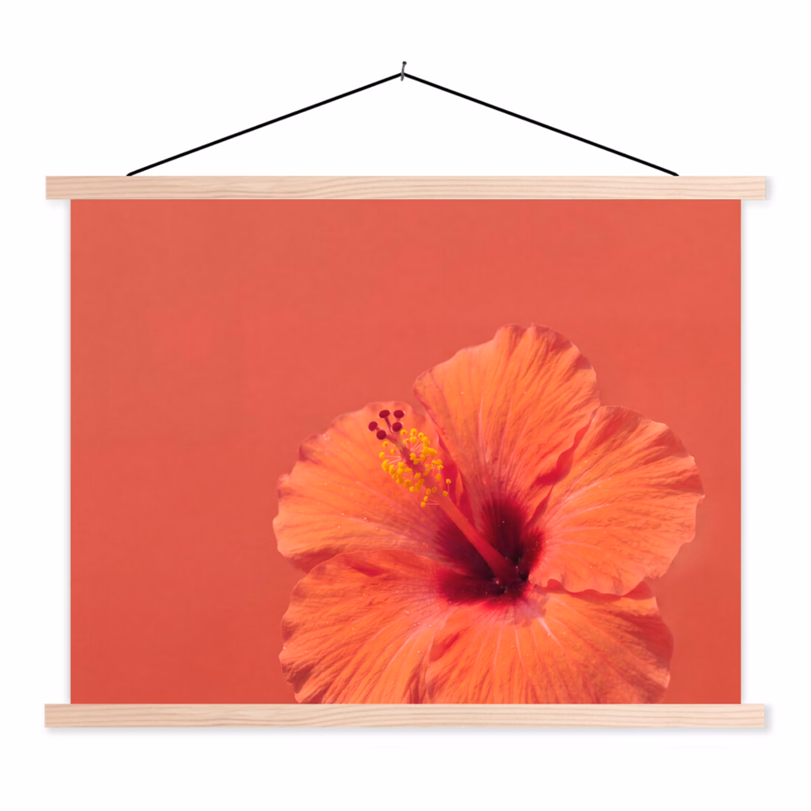 Stoffbild - Blumen – Orange – Natur — 1