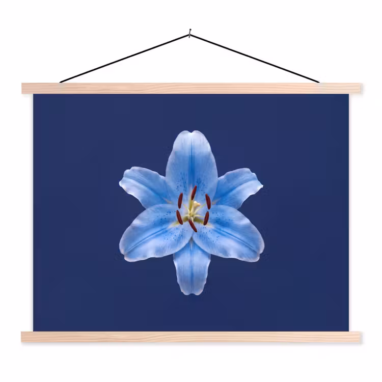 Stoffbild - Blaue Lilie – Blumen — 1