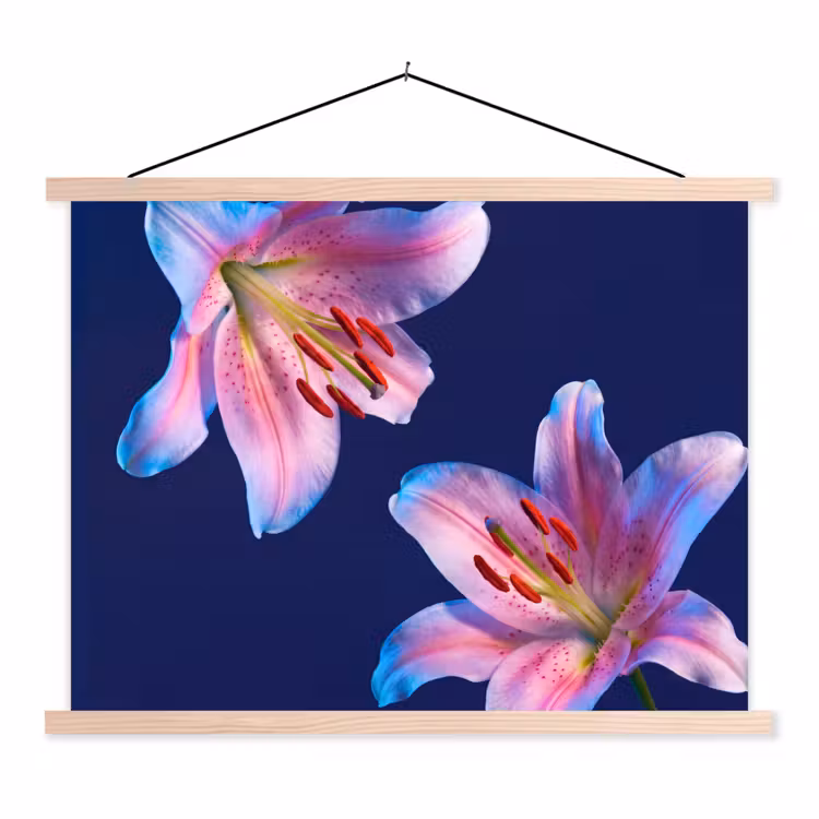 Stoffbild - Blumen – Farbenfroh – Botanisch — 1