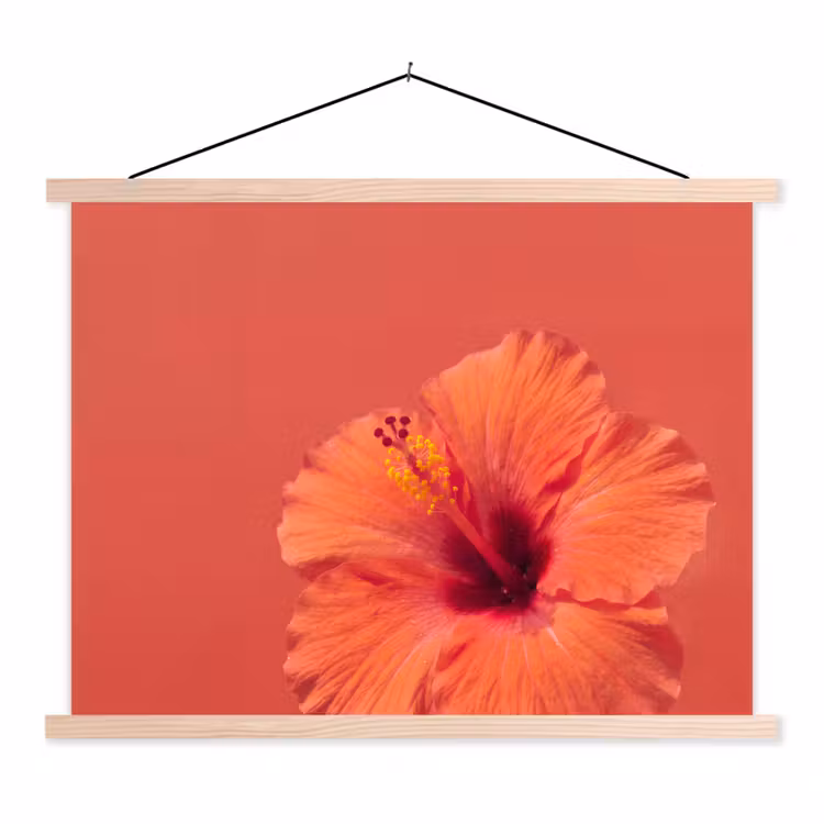 Stoffbild - Blumen – Orange – Natur — 1