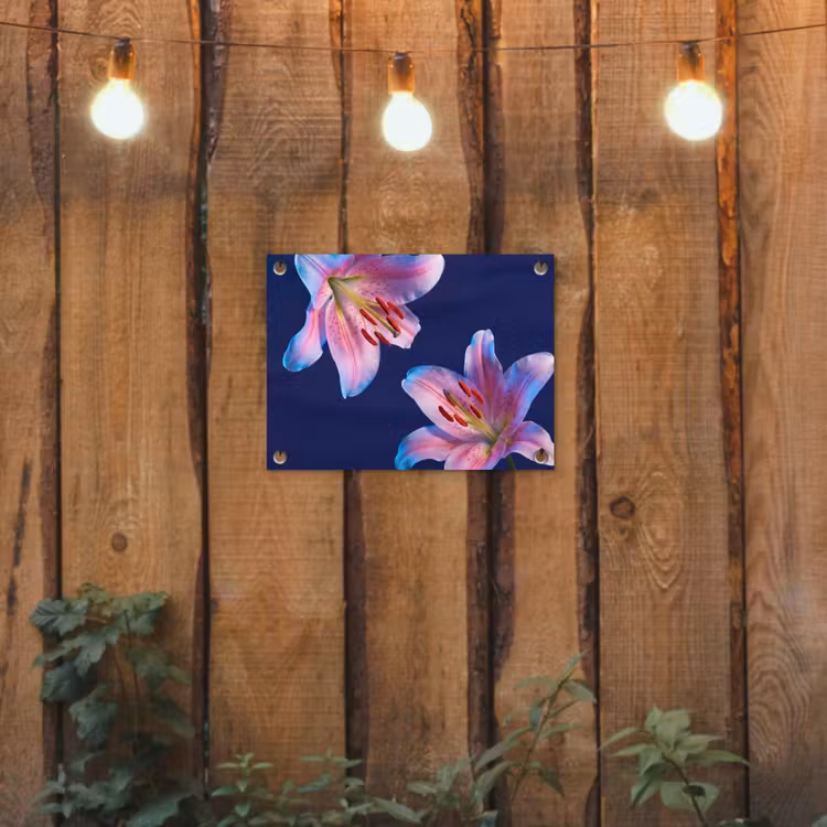 Gartenposter - Blumen – Farbenfroh – Botanisch — 2
