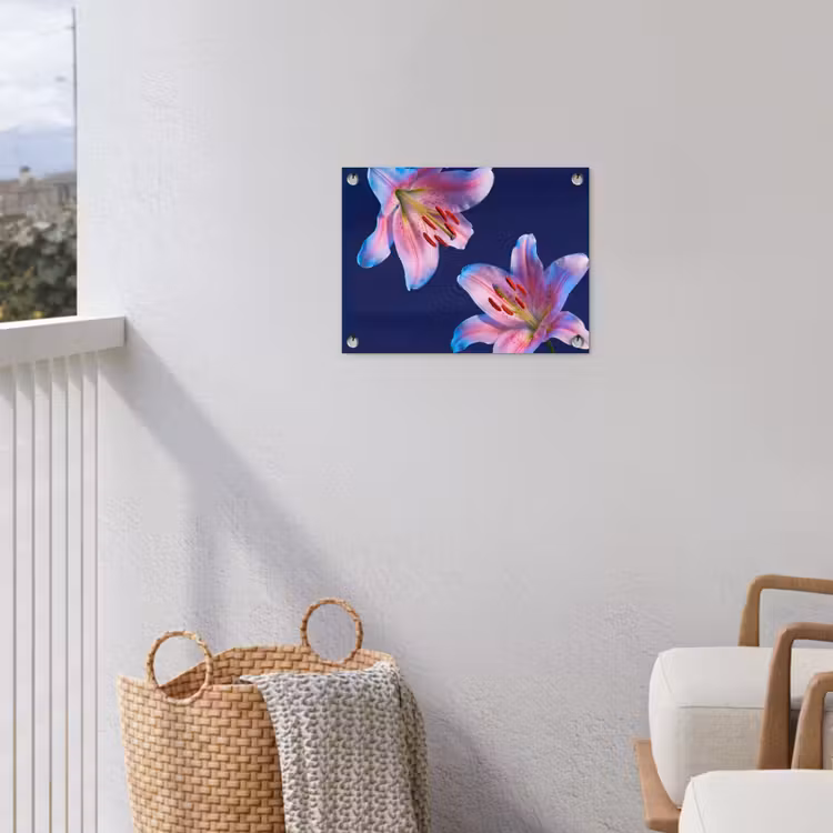 Gartenposter - Blumen – Farbenfroh – Botanisch — 5