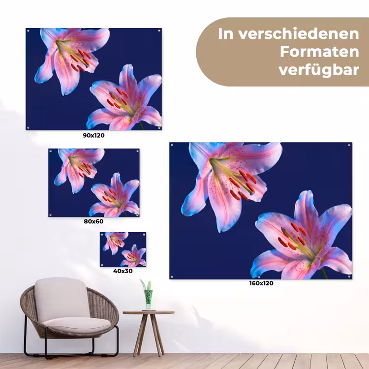 Gartenposter - Blumen – Farbenfroh – Botanisch — 6