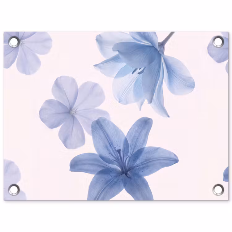 Gartenposter - Blumen – Transparent – Modern — 1