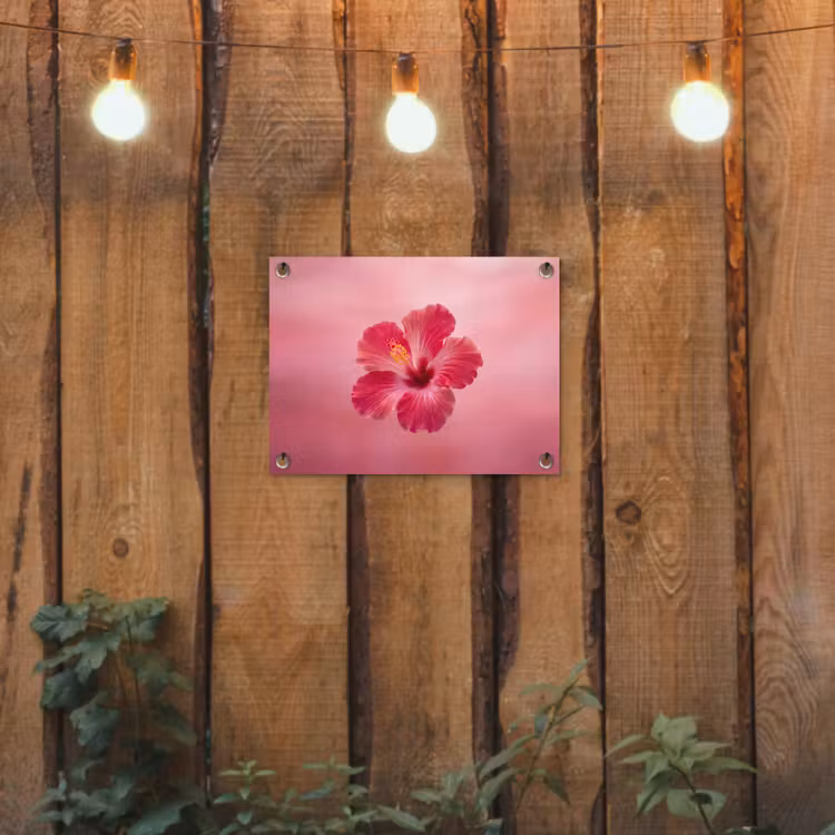 Gartenposter - Rote Blume – Natur — 2