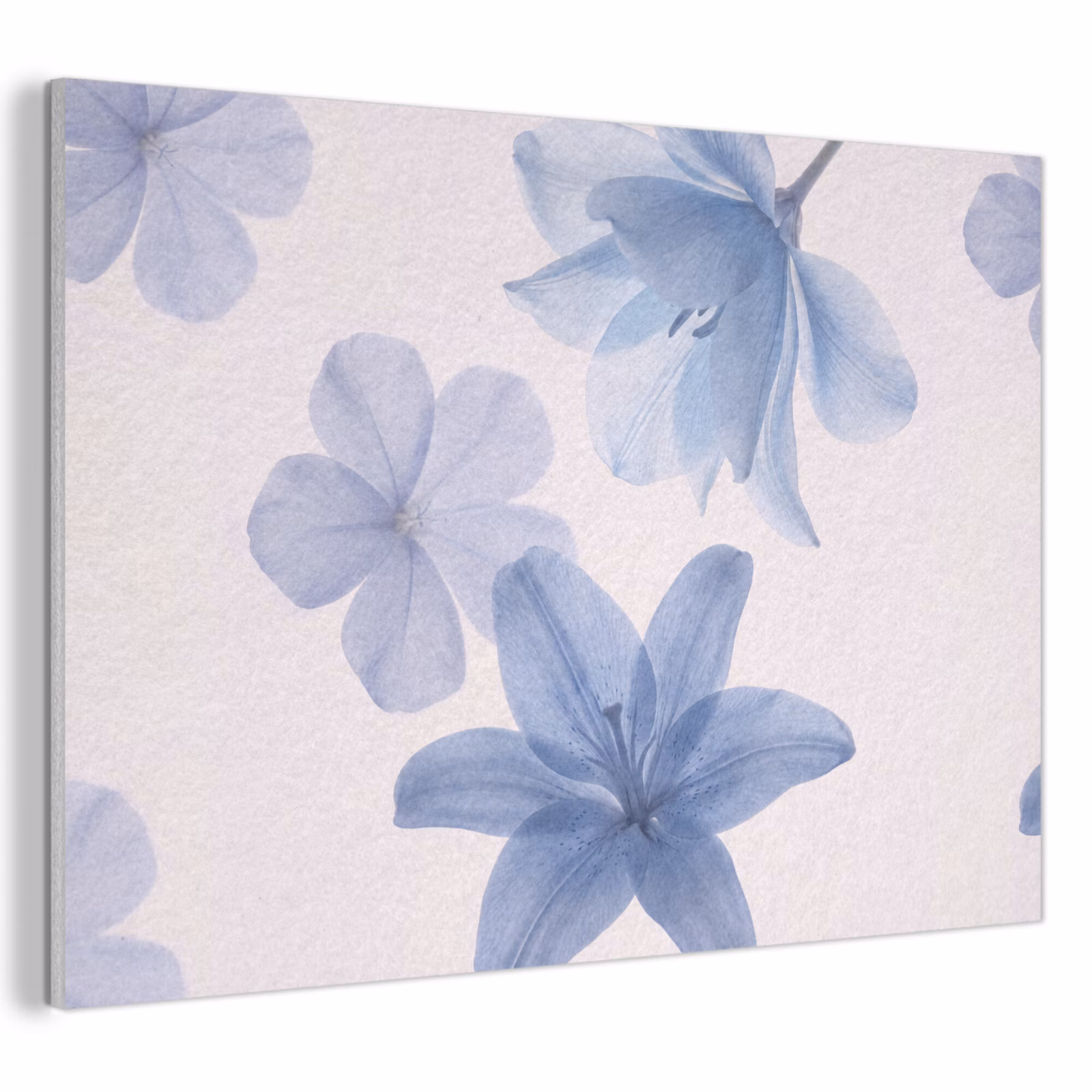 Akustikbild - Blumen – Transparent – Modern — 1