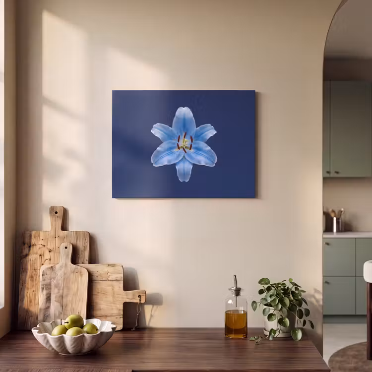 Akustikbild - Blaue Lilie – Blumen — 4