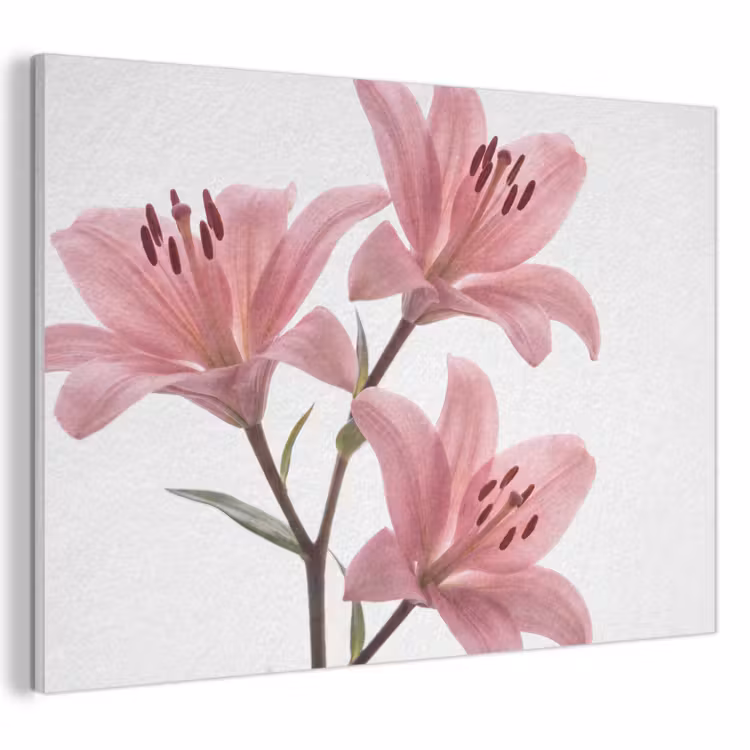 Akustikbild - Blumen – Sanft – Modern — 1