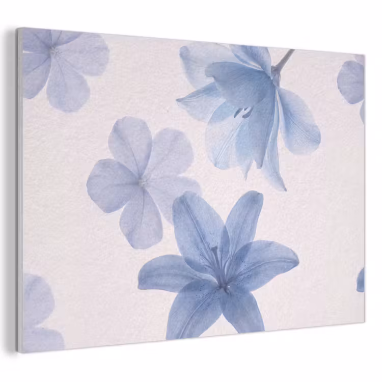 Akustikbild - Blumen – Transparent – Modern — 1