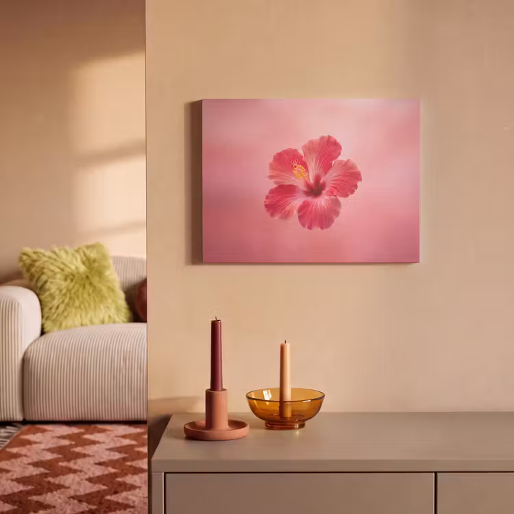 Akustikbild - Rote Blume – Natur — 2