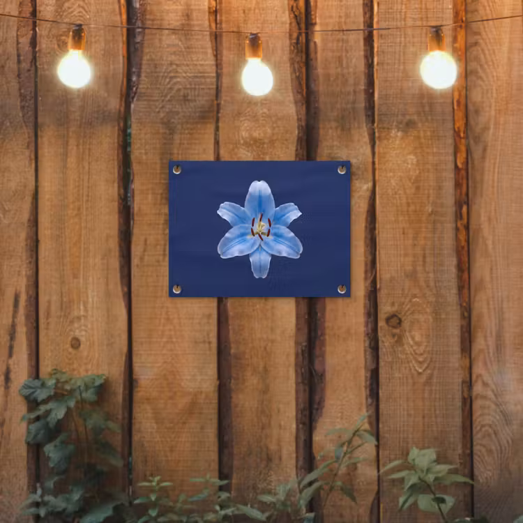 Gartenposter - Blaue Lilie – Blumen — 2