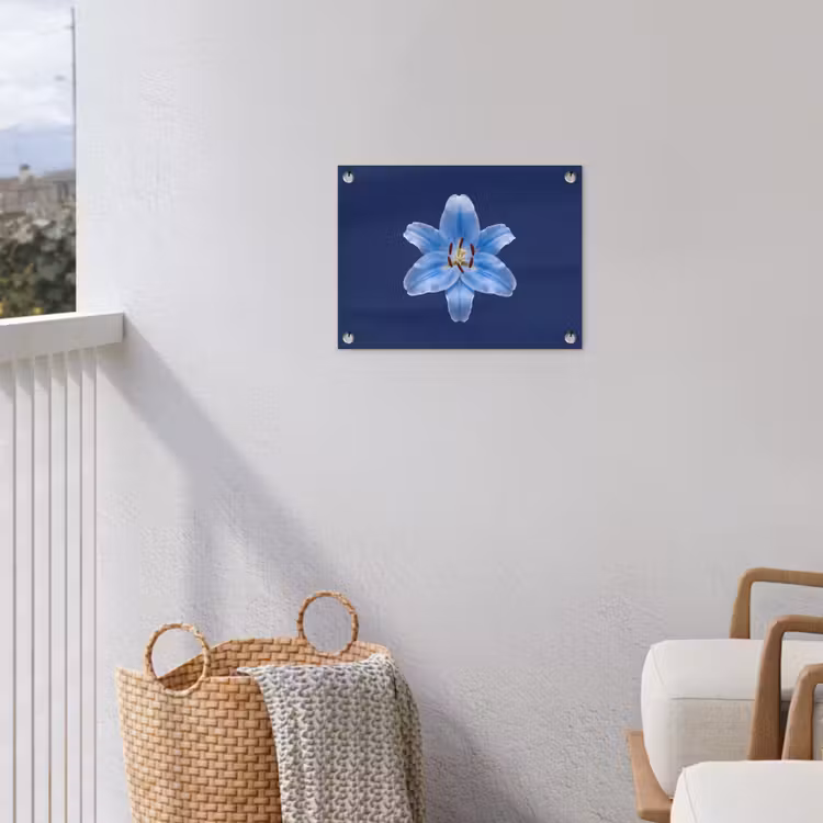 Gartenposter - Blaue Lilie – Blumen — 5