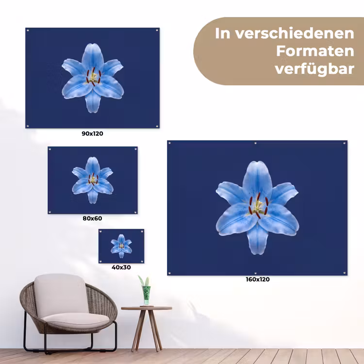Gartenposter - Blaue Lilie – Blumen — 6