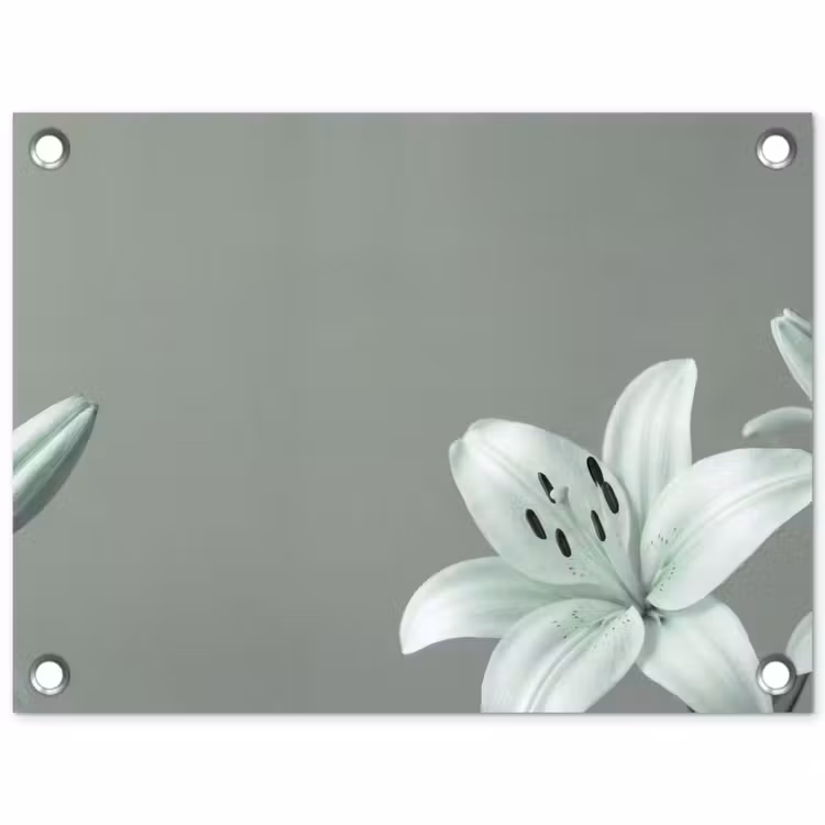 Gartenposter - Blumen – Natur – Grün — 1