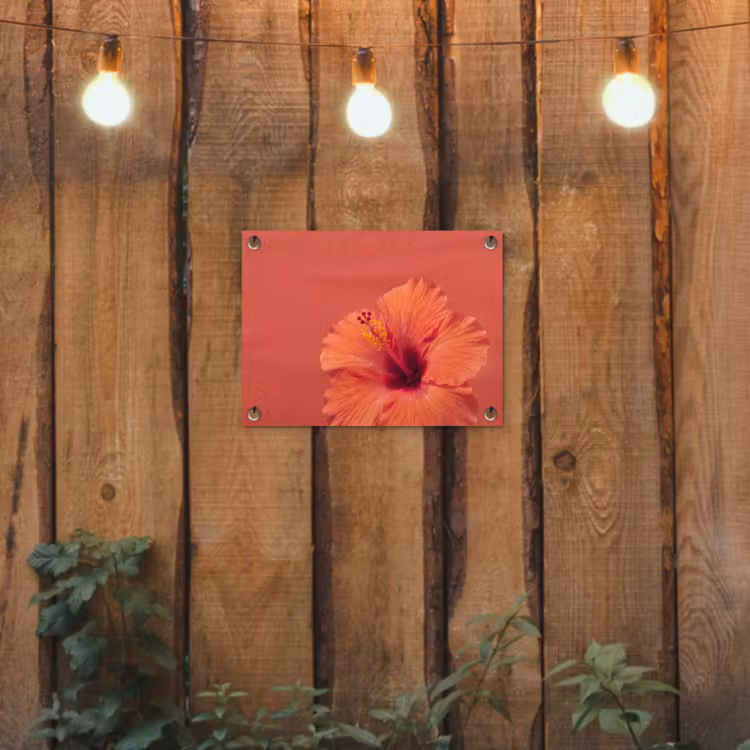 Gartenposter - Blumen – Orange – Natur — 2