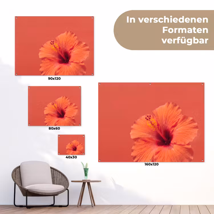 Gartenposter - Blumen – Orange – Natur — 6