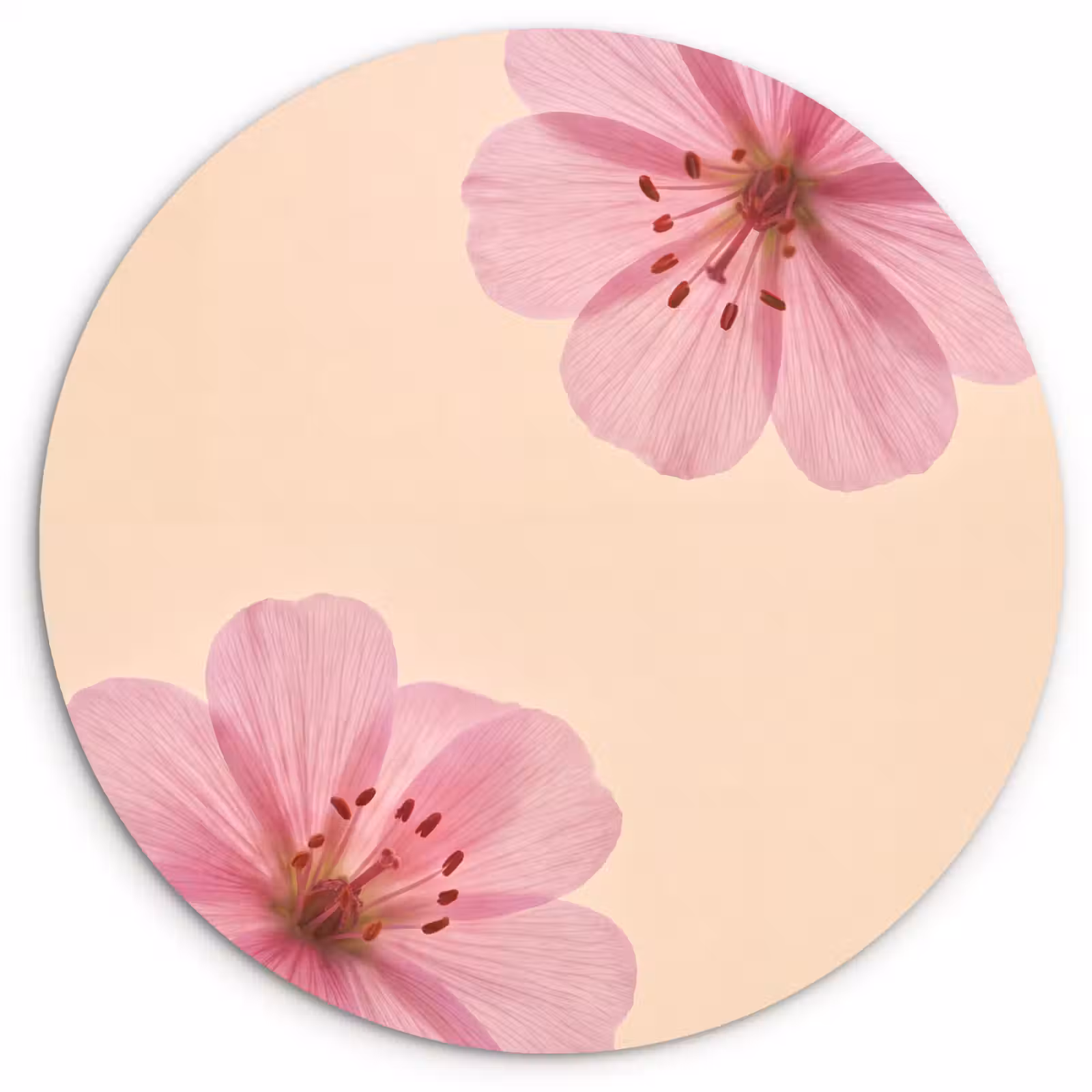 Glasbild Rund - Blumen – Flora – Pastell — 1